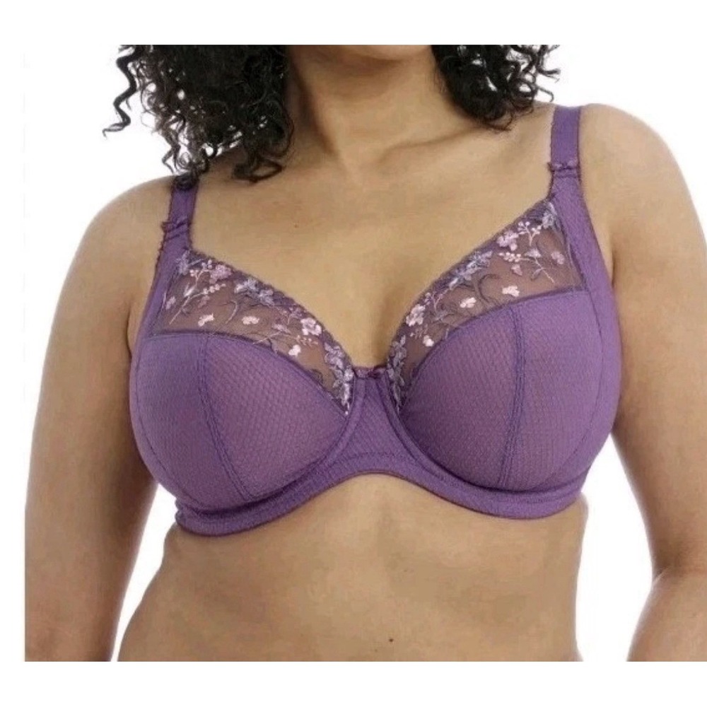 ELOMI EL4380 Charley Underwire Plunge Bra 40I Purple Unlined Embroidered Lace